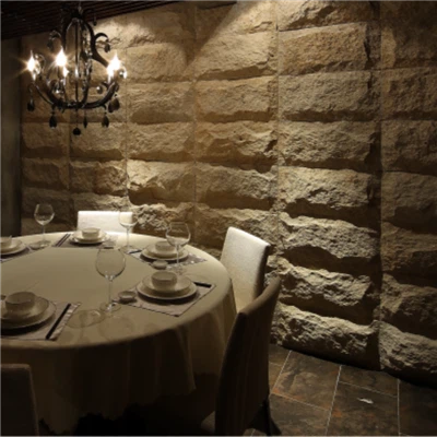 Pietra di funghi ecologici per interni